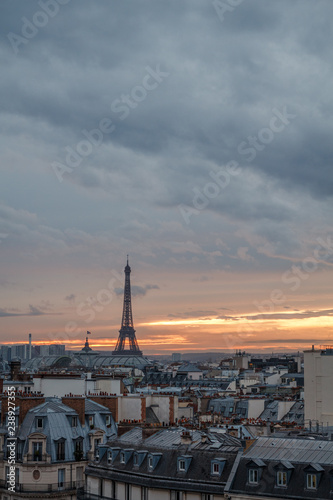 aerial view from the heights on paris and the eiffel tower at sunset © MKavalenkau