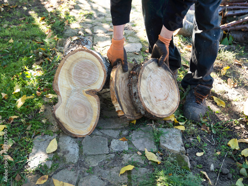 A man works in the garden. He pulls dry logs and branches, cleaning the surface.