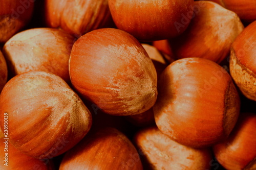 Hazelnut nuts. Macro