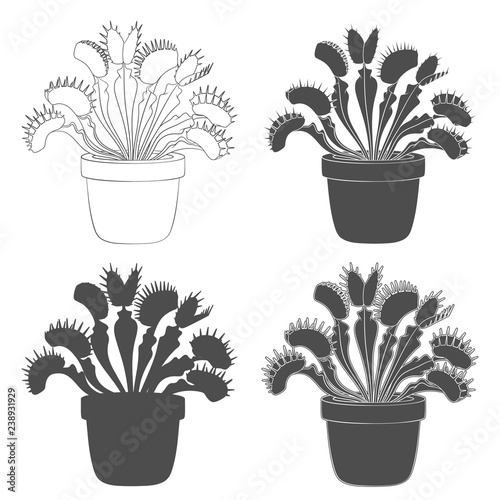 Set of black and white images of venus flytrap. Isolated vector objects on white background.