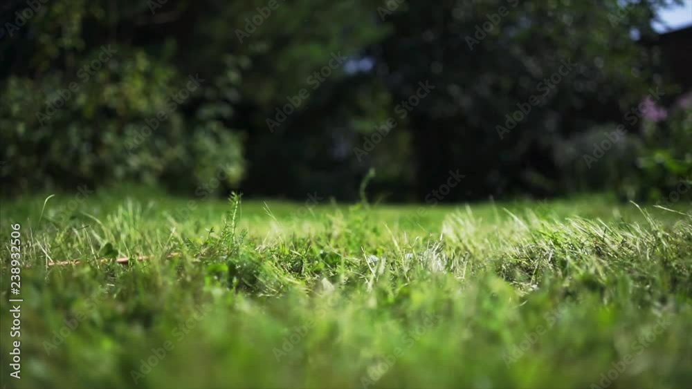 Lawn mower grass shooting out in timelapse Lawn mower grass shooting out in timelapse
