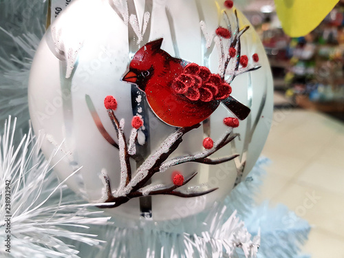 red bird on a branch with red berries