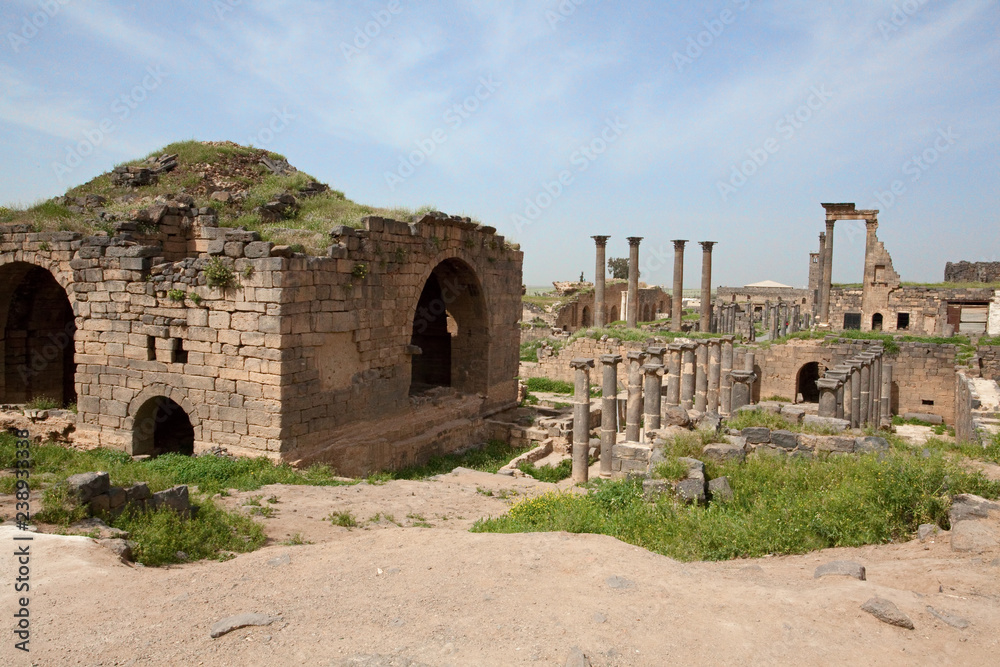 Ruins of the ancient city Bosra (Busra), Syria