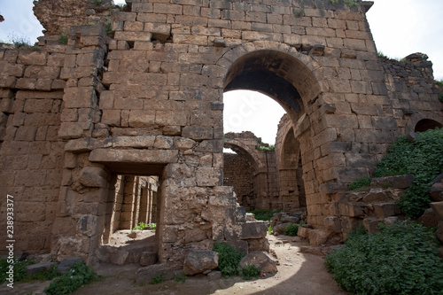 Ruins of the ancient city Bosra (Busra), Syria