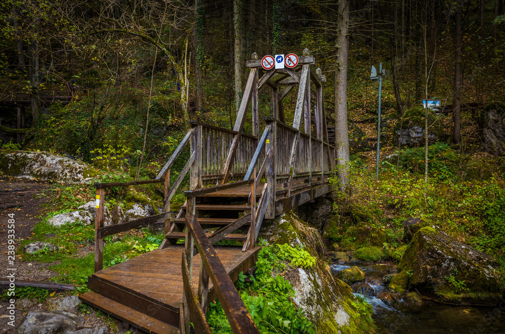 Wooden bridge near cascade falls over mossy rocks at Myrafalle, near Muggendorf in Lower Austria Wooden bridge near cascade falls over mossy rocks at Myrafalle, near Muggendorf in Lower Austria