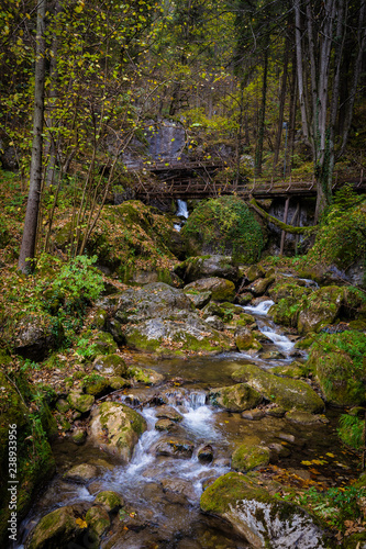 Cascade falls over mossy rocks in autumn forest at Myrafalle  near Muggendorf in Lower Austria