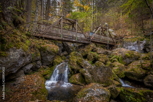 Wooden bridge over cascade falls over mossy rocks at Myrafalle  near Muggendorf in Lower Austria