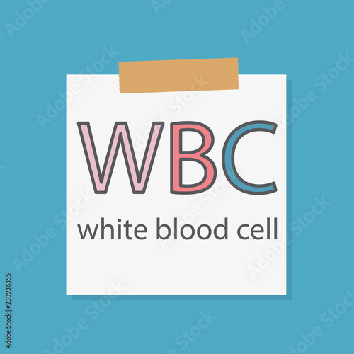 WBC White Blood Cell acronym on a notebook paper- vector illustration