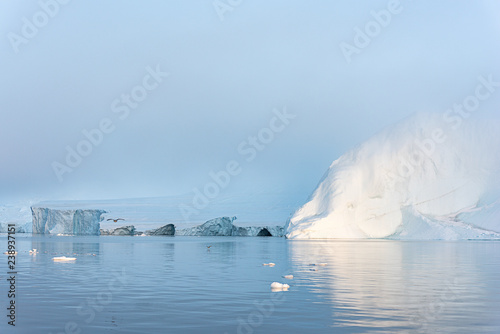 Glaciers on the Arctic Ocean in Greenland