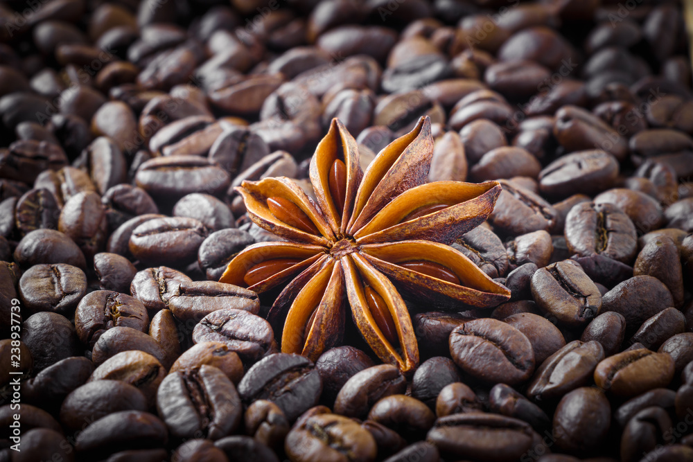 star anise on the background of coffee beans star anise on the background of coffee beans