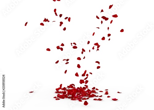 Rose petals fall to the floor