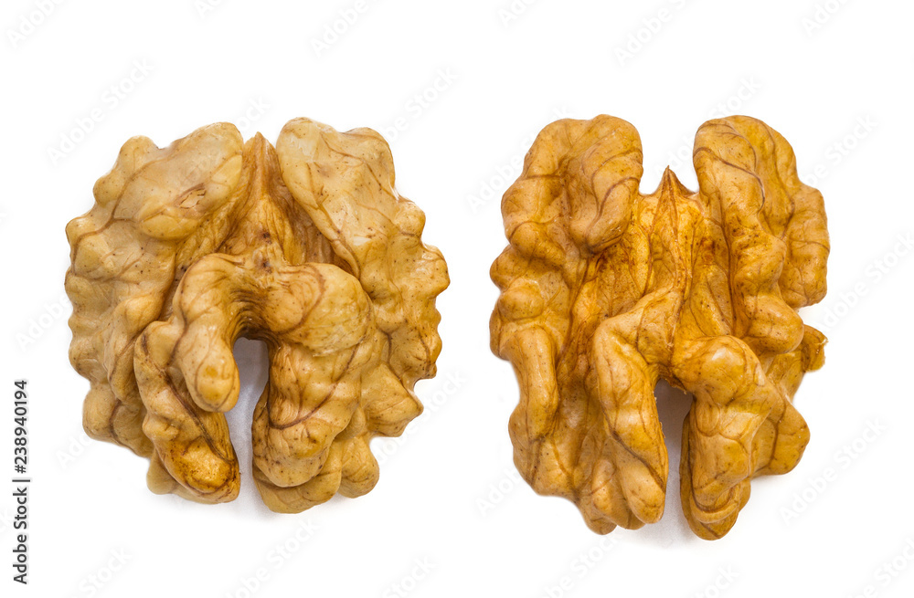 Greek walnut on a white background, macro. Grain walnut on a white background, macro Greek walnut on a white background, macro. Grain walnut on a white background, macro
