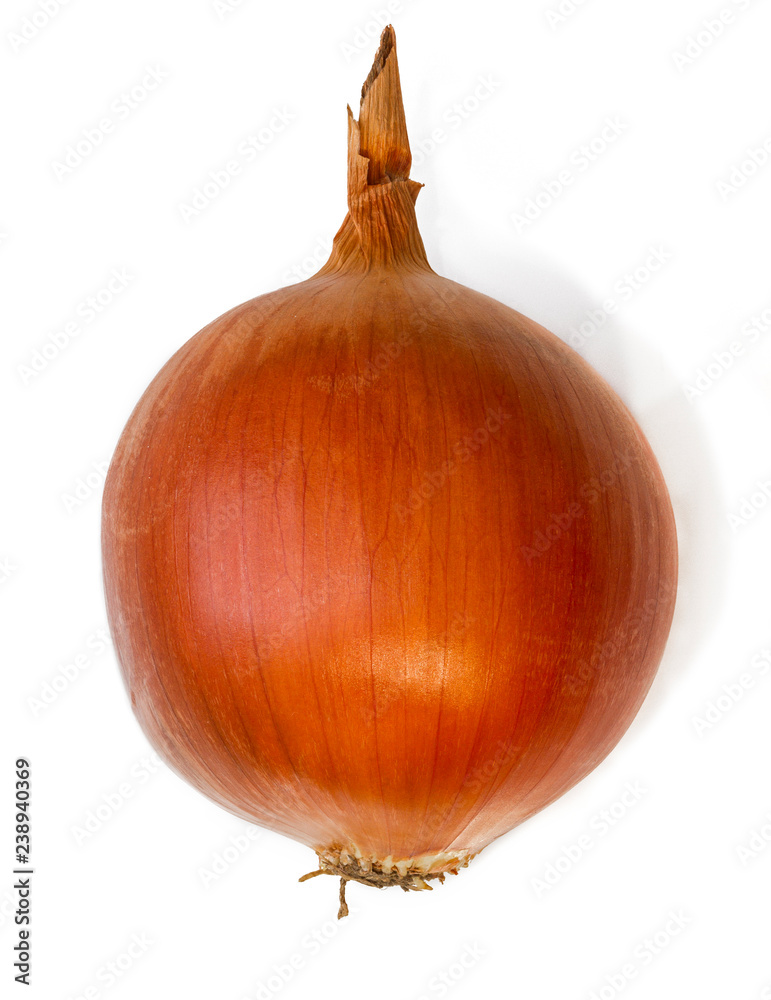 Onion vegetable bulbs on white background cutout. 