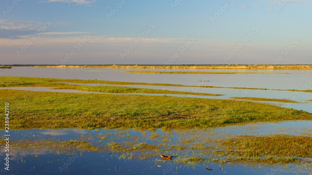 Ili river wetlands. Kazakhstan