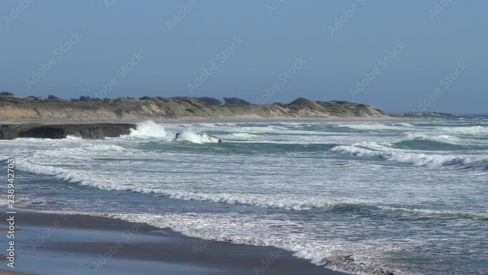 The Pacific Ocean at Ano Nuevo State Park, Santa Cruz County, California, USA, 2018 The Pacific Ocean at Ano Nuevo State Park, Santa Cruz County, California, USA, 2018