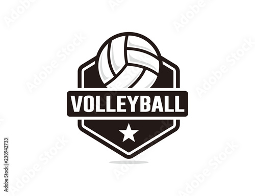 Volley ball logo template