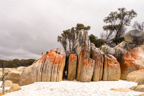 Bay of Fire - Tasmanien - rote Steine am Strand photo