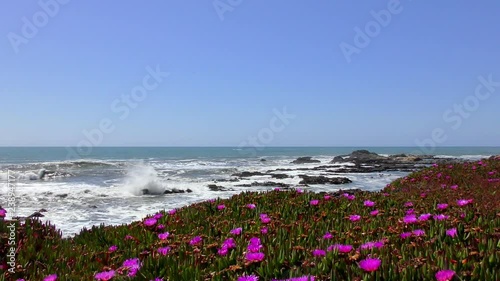 The Pacific Ocean at Bean Hollow State Beach, Santa Cruz County, California, USA, 2018 photo