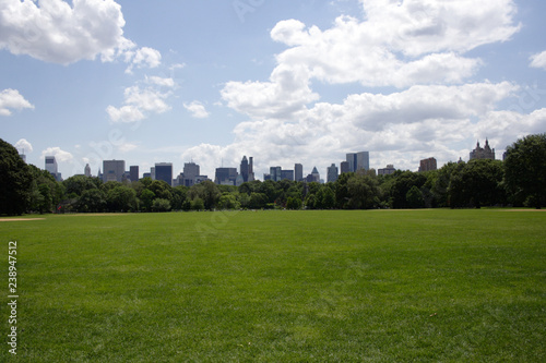 view of New York from central park