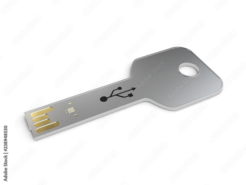Usb card mockup in the form of a key, 3d Illustration. Visiting flash drive  mock up Stock Illustration | Adobe Stock
