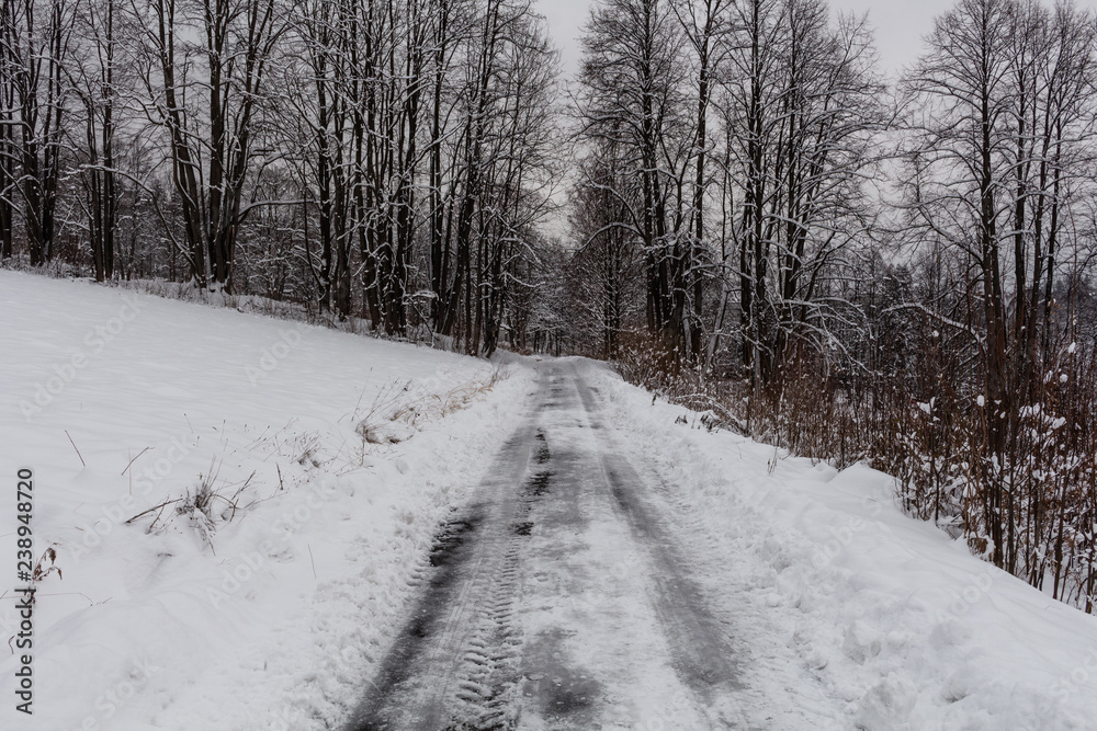 Road in the winter snow-covered forest. Winter landscape. Road in the winter snow-covered forest. Winter landscape.