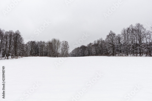 Beautiful winter panorama with fresh powder snow. Landscape with spruce trees, sky with sun light and high mountains on background