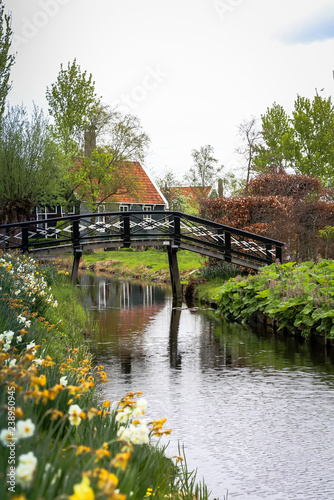 bridge in garden © Michelle Silke