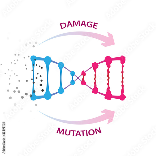 External factors that cause dna damage and mutations