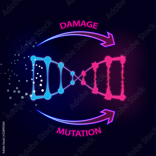 External factors that cause dna damage and mutations