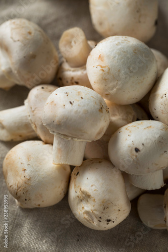 Raw Organic White Button Mushrooms