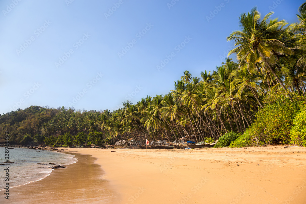 Tropical beach with a row of fishing boats and palm trees