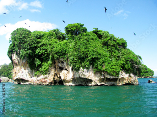 Island of Los Haitises National Park  in Samana