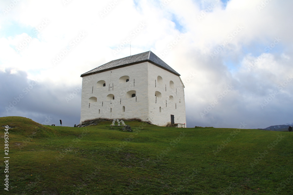 Fototapeta premium high castle
