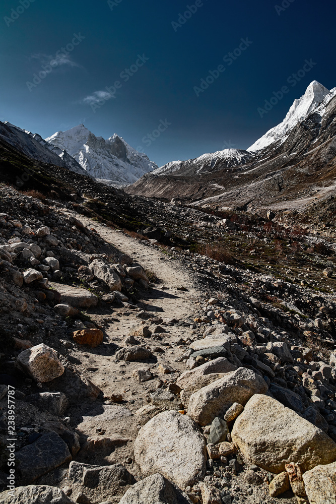 Country road in the mountains. Himalayas. Gangotri, Gaumukh, India..