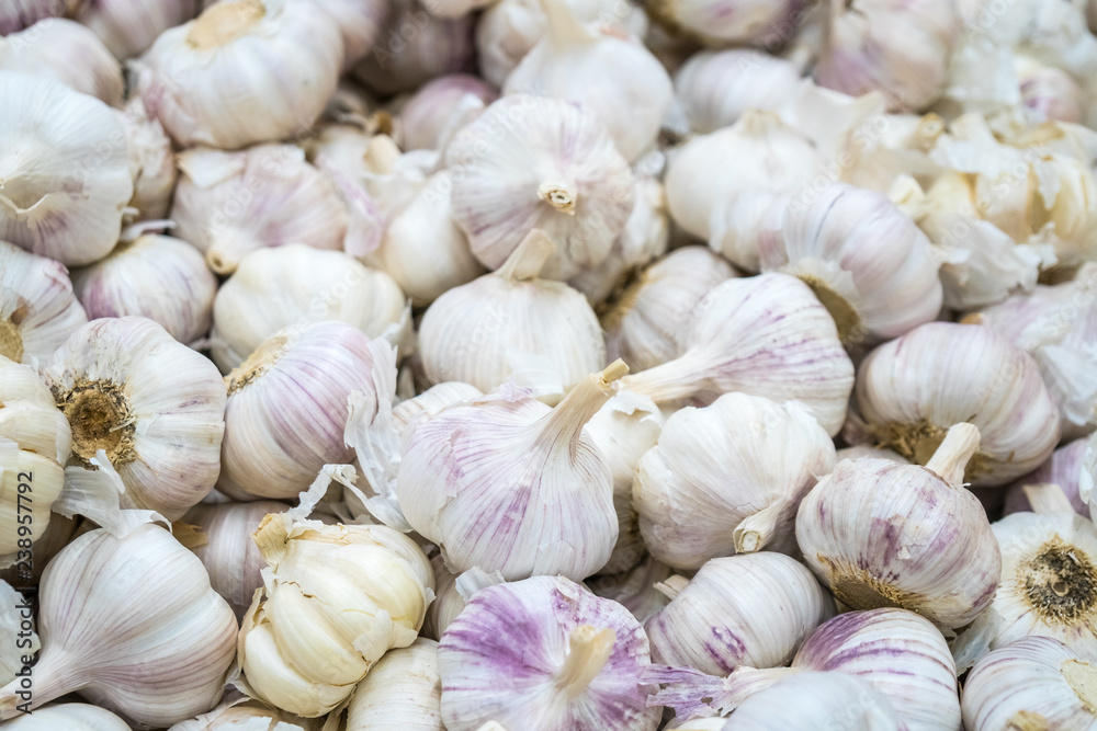 White garlic pile texture. Fresh garlic on market table closeup photo White garlic pile texture. Fresh garlic on market table closeup photo