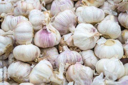 White garlic pile texture. Fresh garlic on market table closeup photo