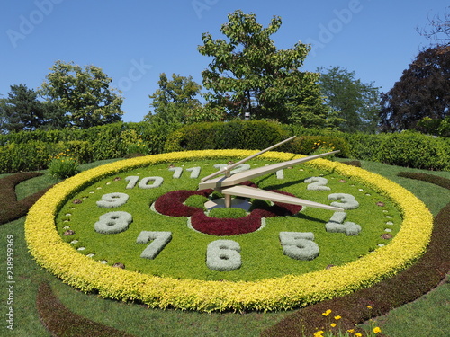 Fototapeta Naklejka Na Ścianę i Meble -  Famous flower clock located on western side of English garden urban public park in european Geneva city Switzerland