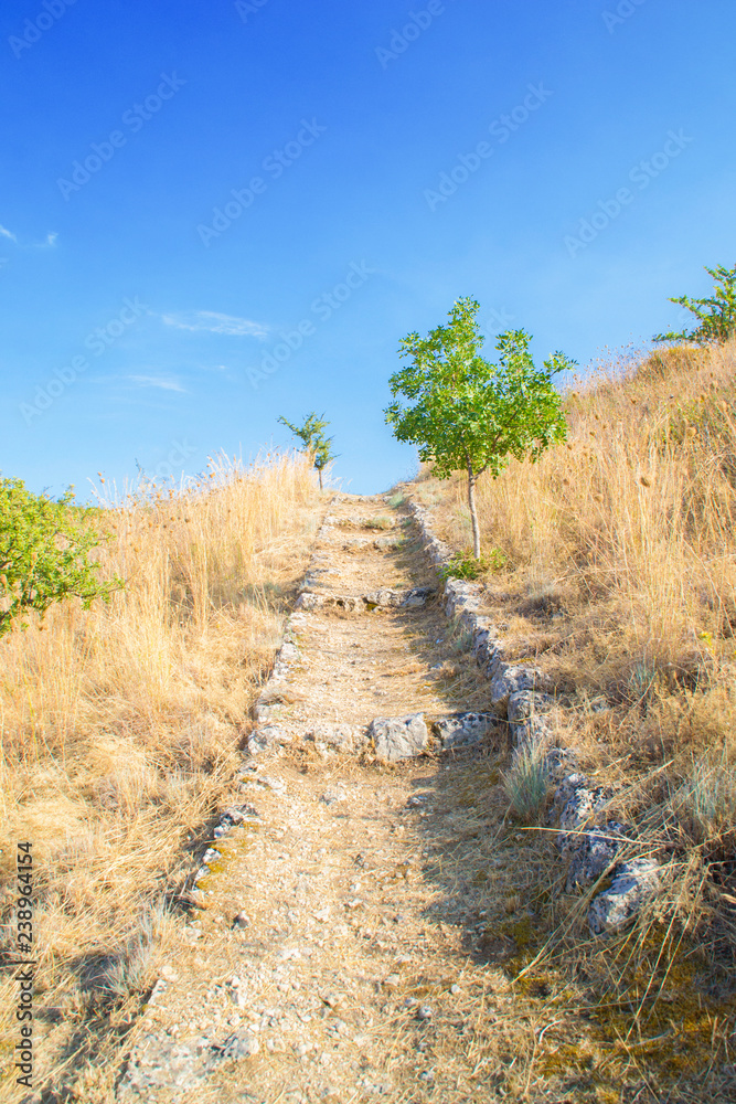 Fototapeta premium afterlife