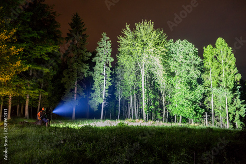 Man pointing flashlight to forest at night. 