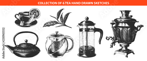 Vector engraved style tea drink collection for posters, decoration, logo, emblem and print. Hand drawn sketches of in monochrome isolated on white background. Detailed vintage woodcut style drawing.