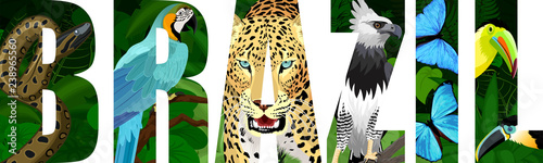 vector Brazil illustration with jaguar, harpy eagle, blue macaw ara, anaconda, blue morpho and toucan