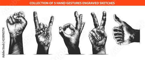 Vector engraved style hand gestures collection for posters, decoration, emblem and print. Hand drawn sketches of in monochrome isolated on white background. Detailed vintage woodcut style drawing. photo