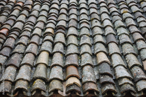 Rustic roof tiles with lichens and moss in Italy © yournameonstones