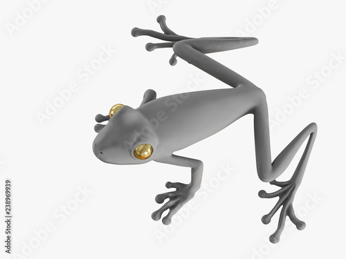 Gray frog with golden eyes on a white background 3d rendering