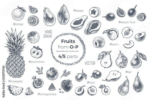 Fruits hand drawn sketch icons set. Organic food photo