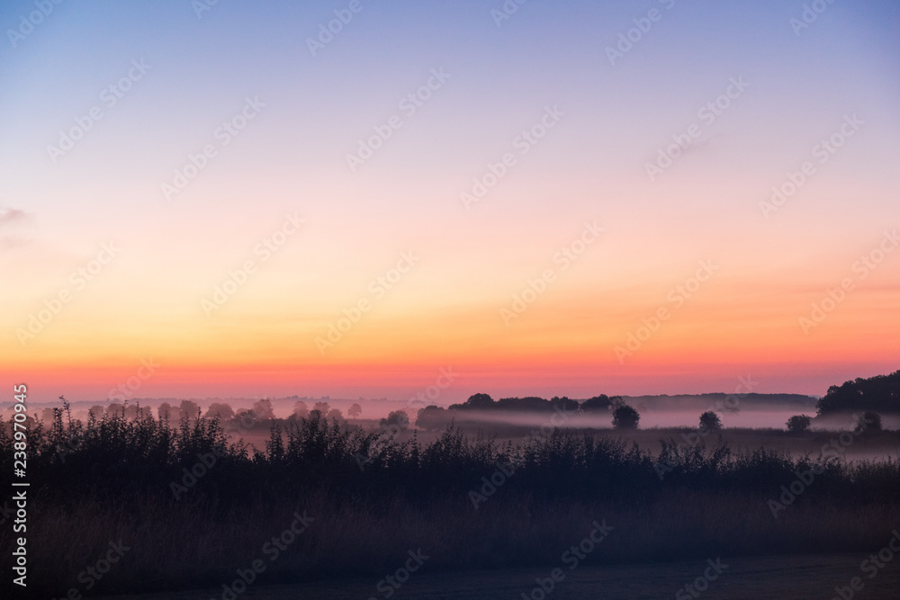 Campos de Glastonbury