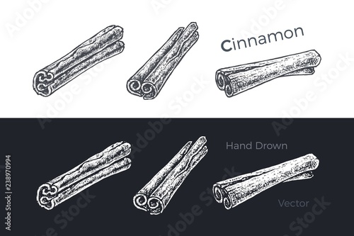 Hand drawn cinnamon sticks. Vector sketch set