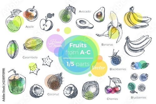 Fruits hand drawn icons set. Fresh organic food