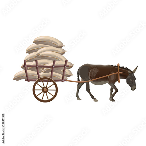 Donkey cart with sacks