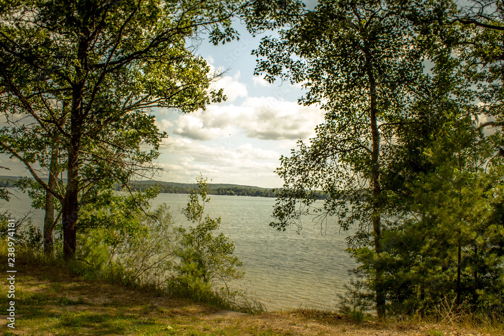 lake in forest lake in forest